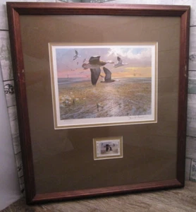 Texas Waterfowl Framed/Matted Duck Stamp & LE Print 1985 John Cowen - Picture 1 of 7