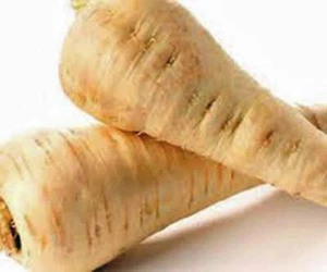 PARSNIP, ALL AMERICAN, HEIRLOOM, NON GMO, 100 SEEDS, PARSNIP SEED - Picture 1 of 1