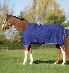 Horseware of Ireland Amigo Hero 900 Weidedecke (brandneu) (Größe 66") - Bild 1 von 5