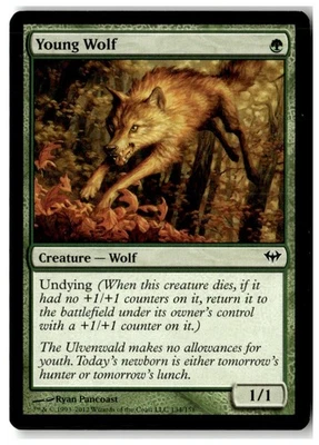 MTG Young Wolf - Dark Ascension  Heavily Played English Playset (x4) - Image 1 of 4