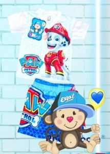 Paw Patrol kids t shirt and short set boys - Picture 1 of 2