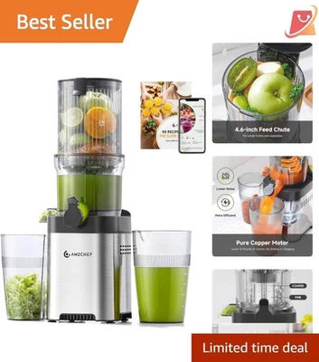 Exprimidor de prensa en frío de acero inoxidable de 4,6 pulgadas conducto de alimentación exprimidor de masticación lenta Foto 1 de 4