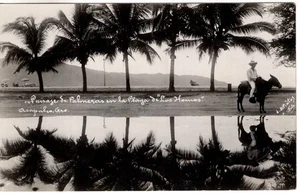 MEXICO - GUERRERO - ACAPULCO, PAISAGE DE PALMERAS, REAL PHOTO BY J. J. PINTOS - Imagen 1 de 2