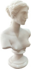 Greek Handmade Bust Venus 15 cm