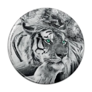 Schwarz und weiß Tiger blau grüne Augen kompakte Tasche Handtasche Hand Make-up Spiegel - Bild 1 von 8