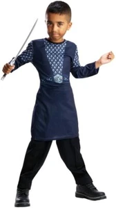 THE HOBBIT THORIN OAKENSHIELD COSTUME SET WORLD BOOK DAY LOTR FANCY DRESS - Picture 1 of 1