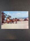 Postcard Old French Horsedrawn Carriage Mount Royal Montreal Canada 1377