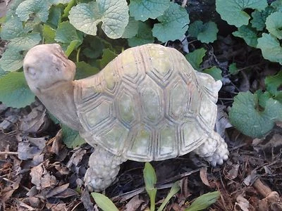 Molde de látex tortuga con plástico respaldo yeso hormigón molde 5"L x 4"H x 4"W Foto 1 de 4