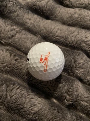 Pelota de golf firmada por Webb Simpson 2012 US Open Champion PGA Tour Foto 1 de 3