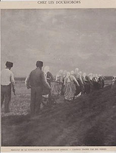 1902 -- GEORGIEN FRAUENPFLUG SCHLEPPPFLUG 3G545 - Bild 1 von 1