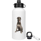 'Irish Wolfhound' Reusable Water Bottles (WT030482)