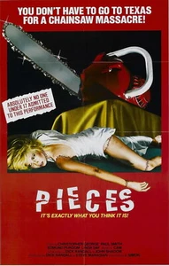 72503 PIEZAS Película Terror Gore Slasher VHS Raro Pared 16x12 PÓSTER Impresión - Imagen 1 de 7