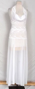 S  Dress Lace Sheer Dress Gown Chemise Long New Beautiful - Picture 1 of 4