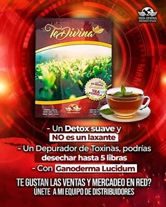 Bio Detox Tee Te Divina Vida Divina (Reishi Infused) 1 Wochenvorrat  - Bild 1 von 1