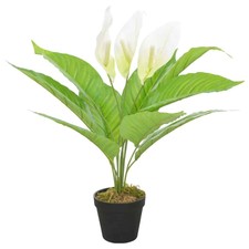 Anthurium Artificiale con Vaso Bianco 55 cm 280159