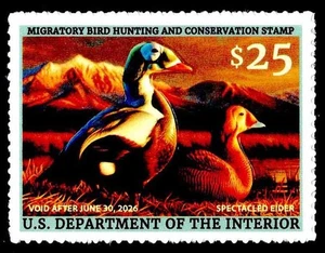 SELLO DE PATO FEDERAL RW92 COMO NUEVO DE 2024 - OGNH - XF - (ESP#STOCK) - Imagen 1 de 1
