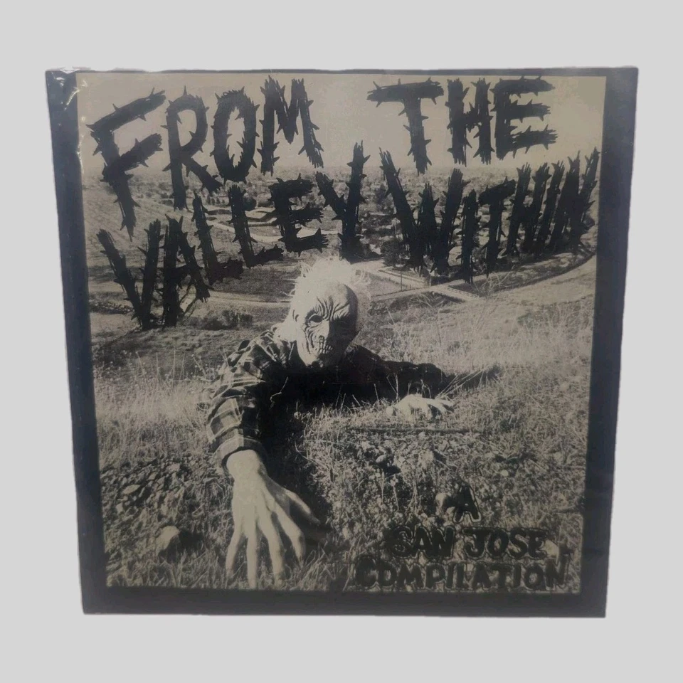 From The Valley Within A San Jose Compilation 7in LP Signed By Steve Caballero  - Image 1 of 4
