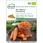 SAFLAX - BIO - Möhren - Herbstkönig - 1000 Samen - Daucus carota