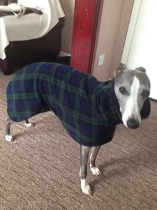 Hund Snood Pullover Fleece Hausmantel Italienisch Whippet Lurcher Blau Tartan 26” - Bild 1 von 9