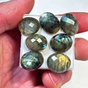Scacchiera ovale oro autunno labradorite 18x15x5mm x 7 pietra preziosa cabochon LAB66 - Foto 1 di 4