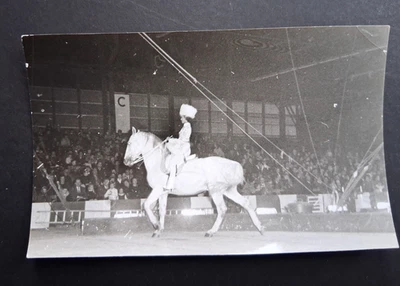 1963-64 EUROPA TOURNÉE foto photo VIOLA MUNDELING ringling bros circus cirkus - Bild 1 von 2