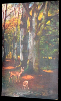 60748 AK Caccia Animali 1916 Cervo Nel Bosco Grande Albero Posta Militare - Immagine 1 di 2