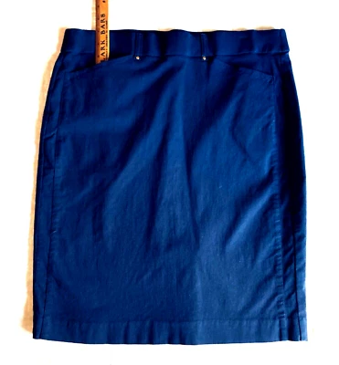 Briggs New York Women 14 Blue Skirt Tummy Control MEDIUM Stretch Pocket - Image 1 of 4