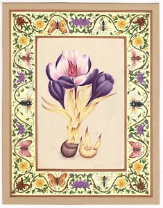 Crocus Sativus Florale Blumenmalerei Hand Miniatur Gouache Volkskunst 10,5x13,5" - Bild 1 von 6