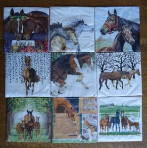 9 servilletas caballos pony Clydesdale perros invierno potros caballo yegua decoupage artesanías - Imagen 1 de 11