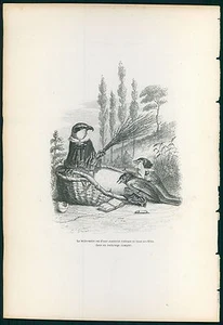 GRANDVILLE antiker Litho Druck gekleidete TIERE privates öffentliches Leben Szenen Vögel - Bild 1 von 2