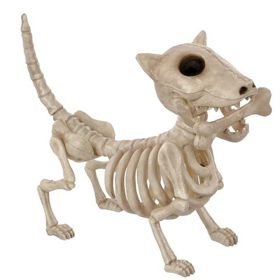 Seasons USA Digger The Skeleton Dog Halloween Decoration - 11 in - Off-White - Image 1 of 4