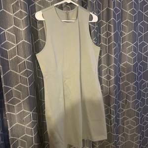 Everlane Sage Green The Dream ‘90s Shift Dress Office Professional Womens Sz L - Picture 1 of 5