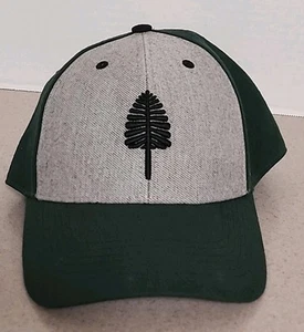 Dartmouth Green Grey Strapback NCAA Embroidered Trucker Hat '47 Brand - Picture 1 of 7