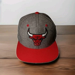 Mitchell & Ness NBA Chicago Bulls Snapback Mütze Cap Herren rot grau bestickt - Bild 1 von 8