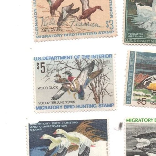 Collectible Migratory Bird Hunting Stamp Wood Duck 1974 $5 Used Vintage - Image 1 of 1