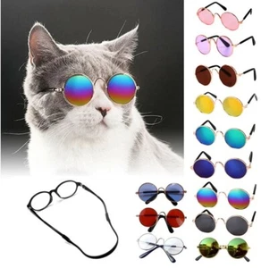 Pet sunglasses Pet Eyes Protecter Cat Sunglasses Dog sunglasses sunglasses cute - Picture 1 of 9