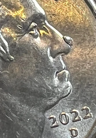 2022 D Wilma Mankiller ..large nose die chip error..”pimple error” Circulated Cover