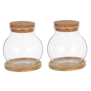 Hydrokultur Vase Büro Schreibtisch Fischschale Tisch Terrarium Glas klar - Bild 1 von 12