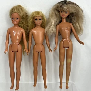 Vtg Barbie Skipper Dolls Lot of 3 Malibu Living Growing Up Skooter TLC Japan - Picture 1 of 12