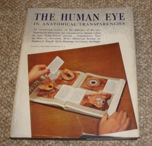 The Human Eye in Anatomical Transparencies. 1944 Bausch & Lomb Hardcover - Foto 1 di 4