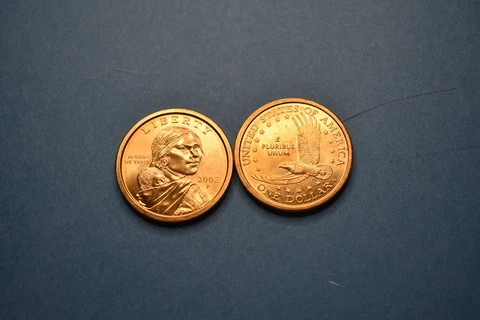 2003 P Sacagawea Native American Golden Dollar Cover