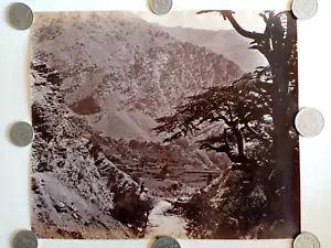 23,7x28 - INDE Samuel Bourne - Himalaya - Vintage albumen print c.1866 - Imagen 1 de 5