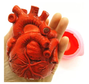 Anatomical Heart Silicone Mold Craft DIY Plaster Resin Art Mini Pot Reusable - Picture 1 of 10