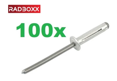 RB ✅100x Clips Spreiznieten Blindnieten Befestigung für MERCEDES-BENZ AMG SMART BMW