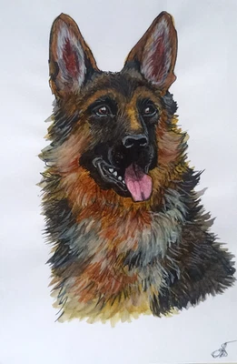 Retrato de perro pastor animal mascota acuarela original pintura pintada a mano 8x6"" Foto 1 de 4