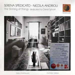 LP Serena Spedicato , Nicola Andrioli The Shining Of Things. Dedicated To David - Picture 1 of 1