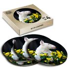 4 x Boxed Round Coasters - English Bull Terrier Puppy Dog  #21500