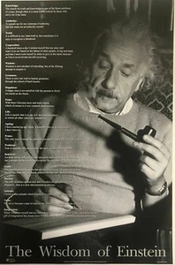 Albert Einstein The Wisdom of Einstein Inspirational Poster 23 X 35 - Picture 1 of 1