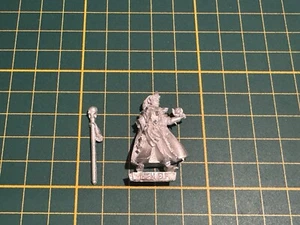 Warhammer Altos Elfos Hochelfen Mago a pie Mago Metal Raro Usado Fuera de Uso #2 - Imagen 1 de 2