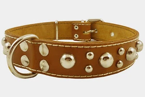 Cane Corso Thick Real Leather Dog Collar Studs 1.5" wide 17"-21.5" neck size  - Picture 1 of 4